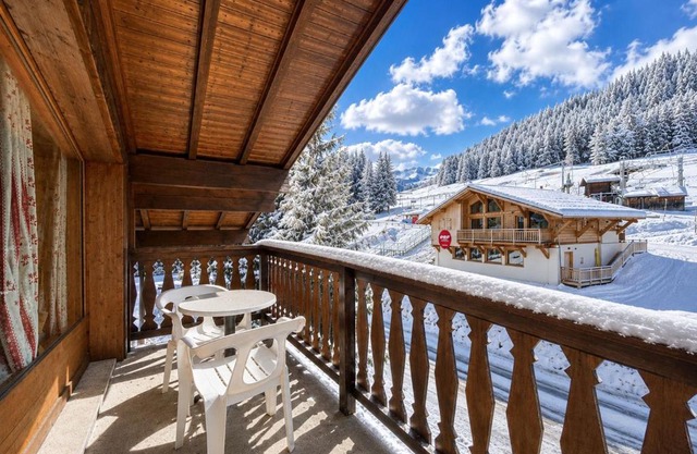 Chaleureux appartement au pied des pistes avec parking et animaux admis - FR-1-505-65