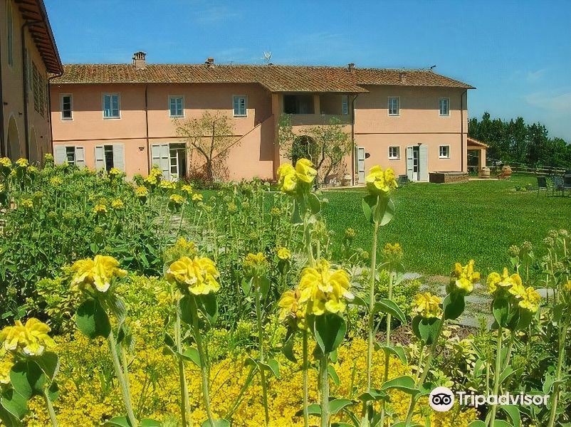 Photo of Buildings in Pontedera
