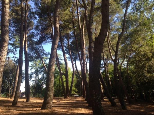 Photo of Outdoor in Lorenzana