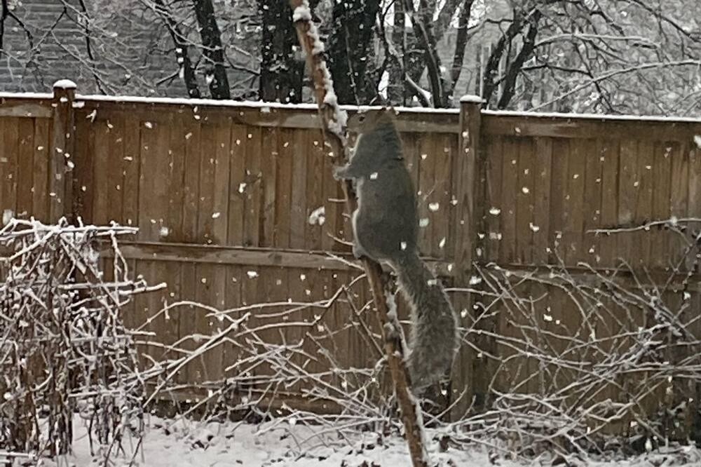Photo of Others in Gaithersburg