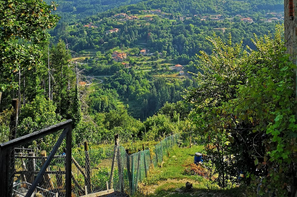 Photo of Others in Castello-prato