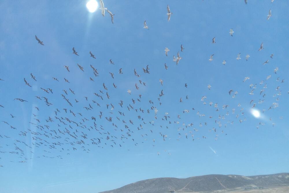 Photo of Outdoor in Vicente Guerrero