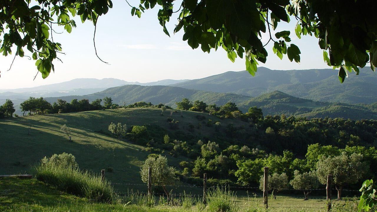 Photo of Outdoor in Montecastelli