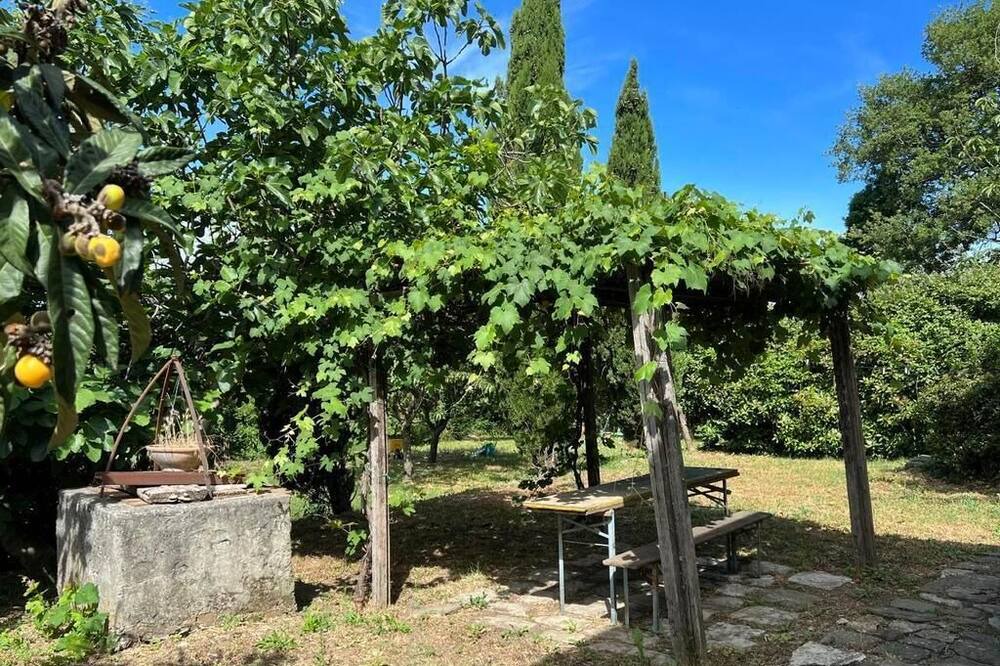 Photo of Outdoor in Casellina