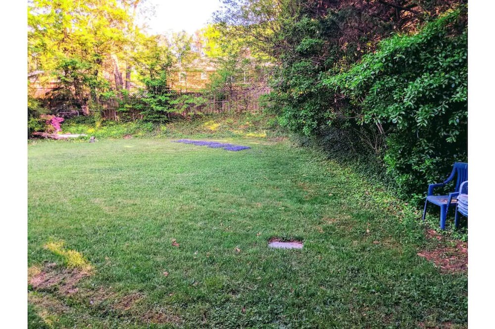 Photo of Outdoor in Hillandale