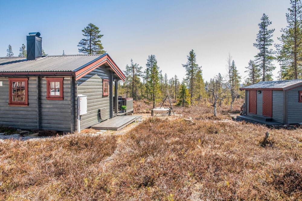 Photo of Outdoor in Rena