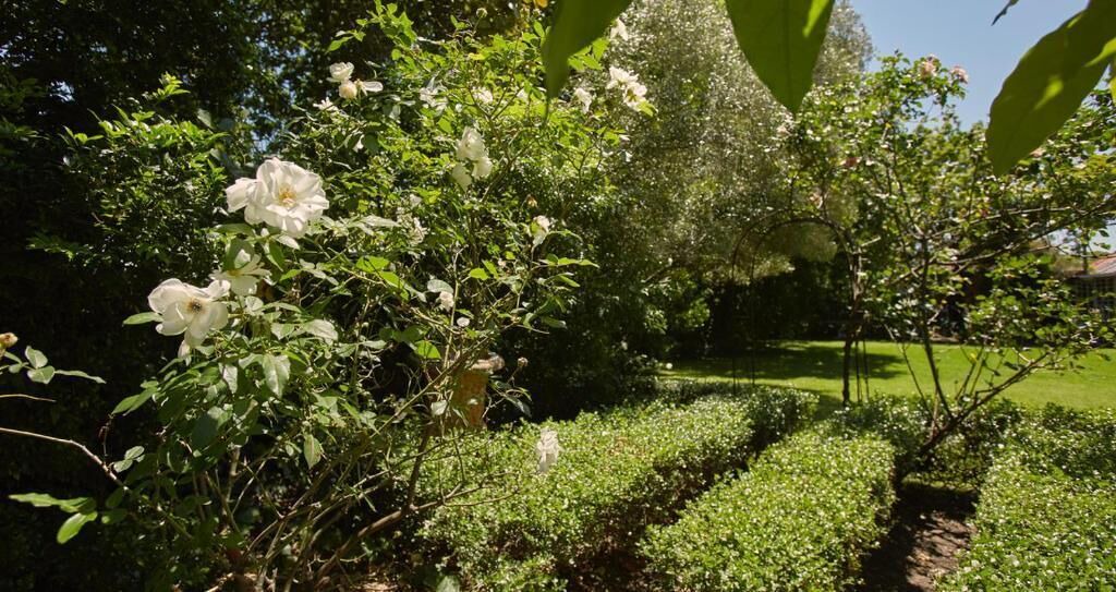 Photo of Outdoor in Claremont