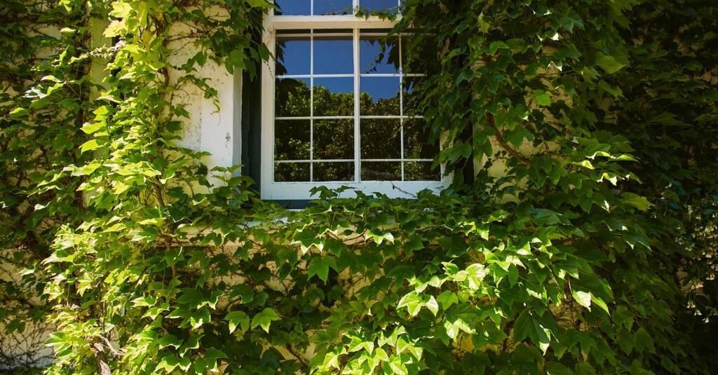 Photo of Outdoor in Claremont