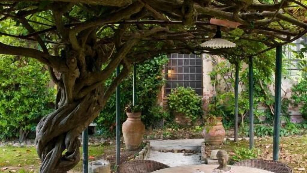 Photo of Outdoor in Palaia