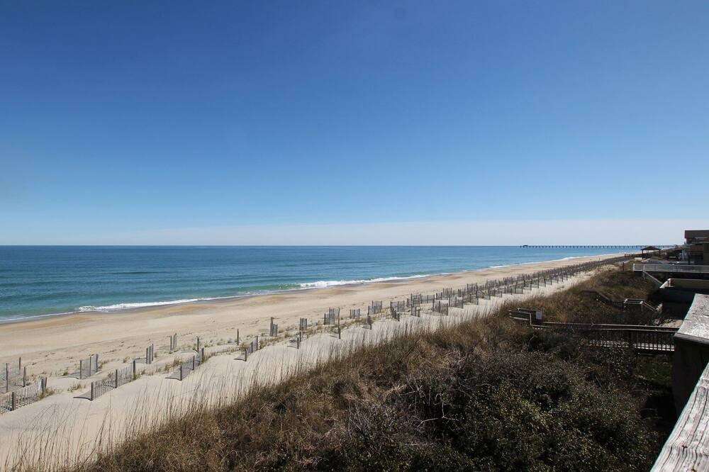 Photo of Others in Carolina Dunes