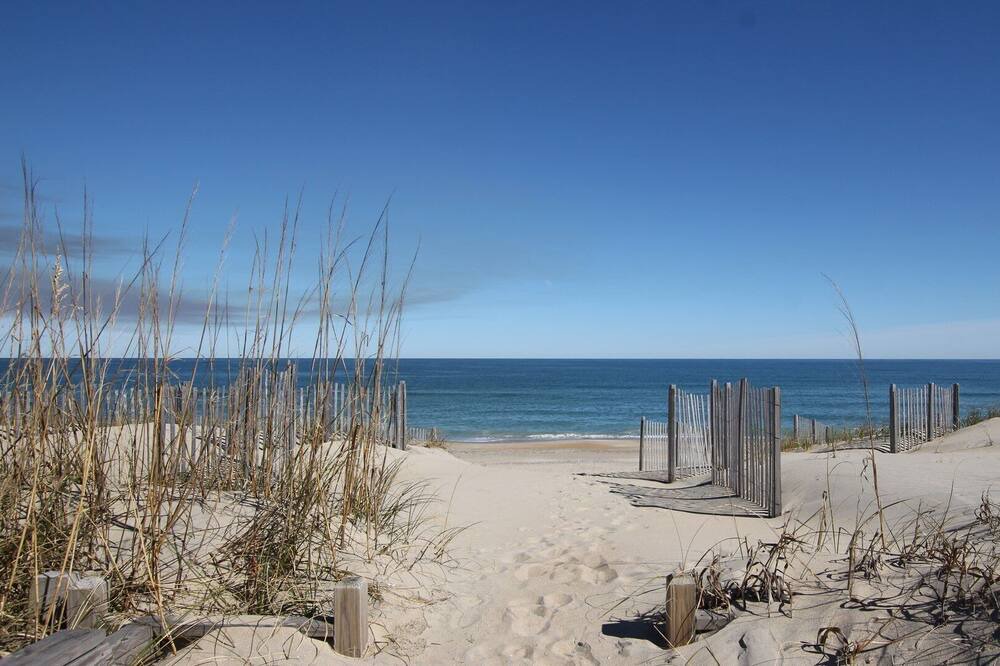 Photo of Others in Carolina Dunes