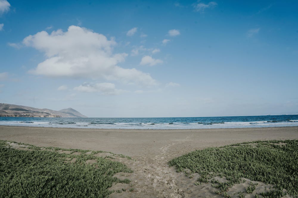 Photo of Others in Lengueta Arenosa