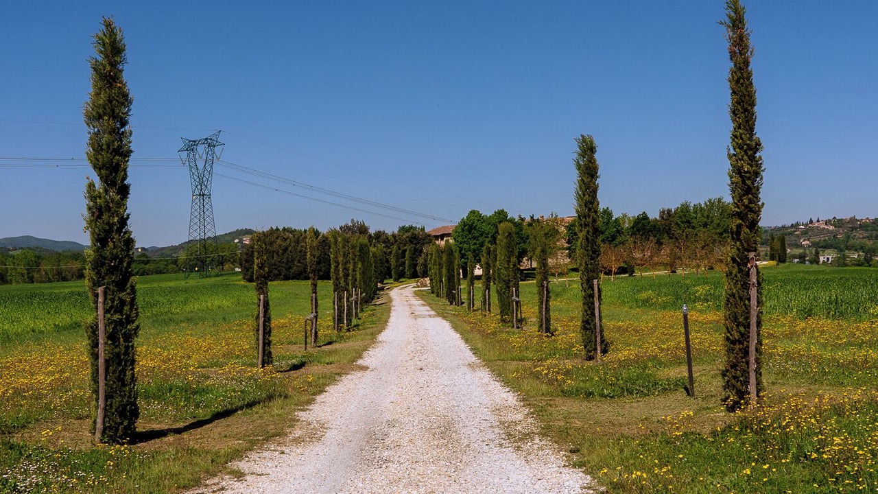 Photo of Outdoor in Colle di Val d'Elsa