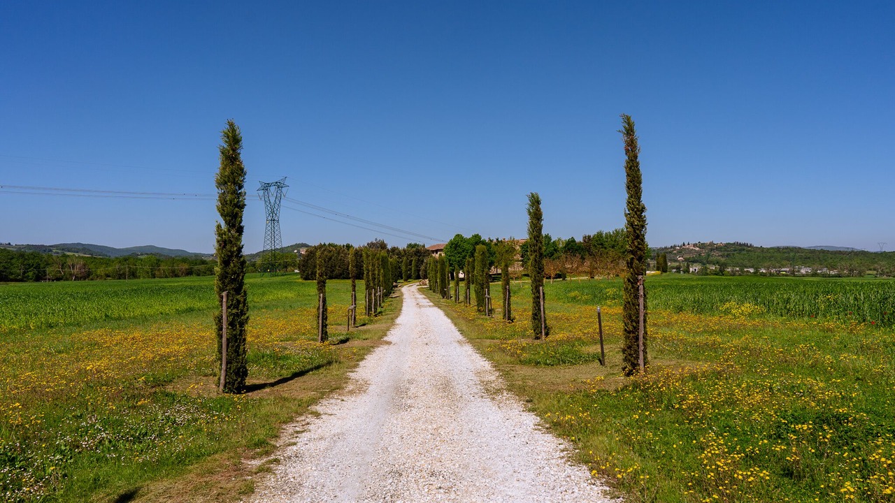 Photo of Outdoor in Colle di Val d'Elsa