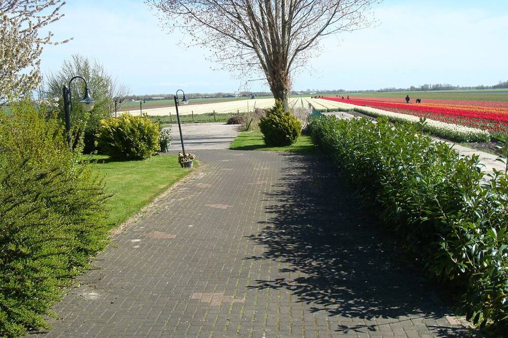 Photo of Others in Westwoud