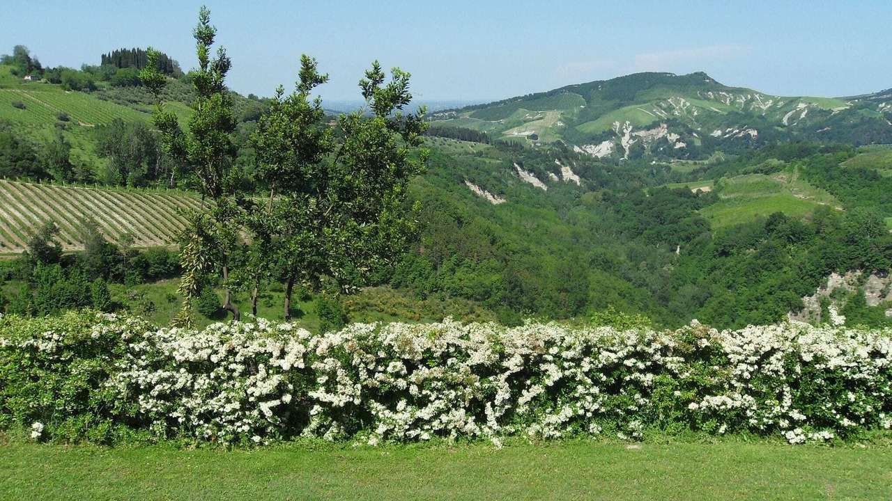 Photo of Outdoor in Modigliana