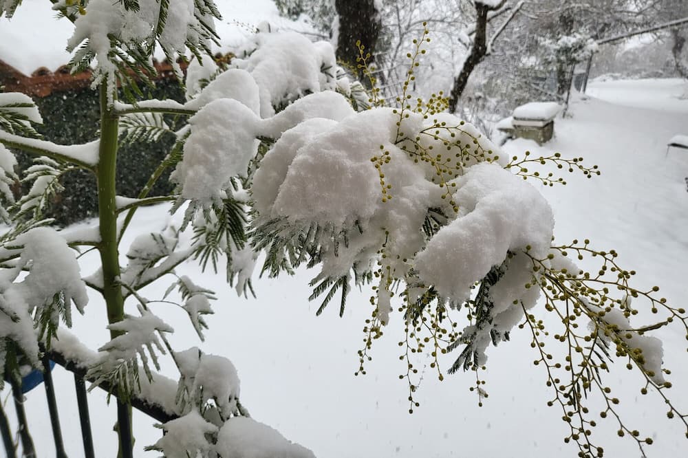 Photo of Outdoor in Lama Mocogno