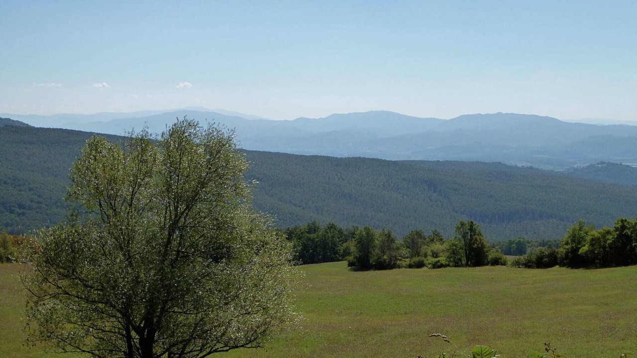 Photo of Outdoor in Montecarelli