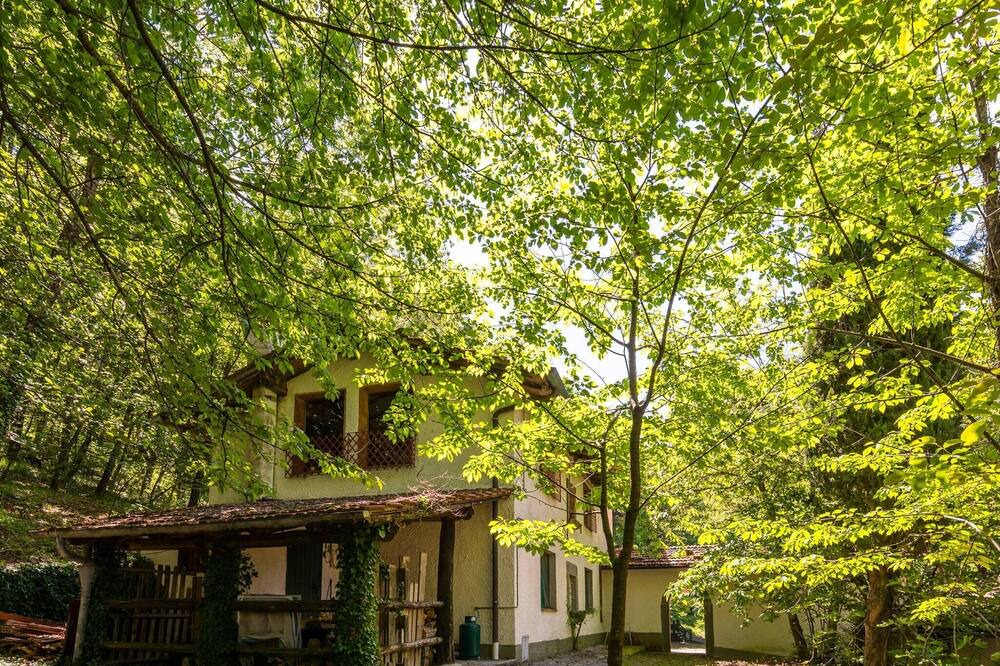 Photo of Outdoor in San Marcello Piteglio
