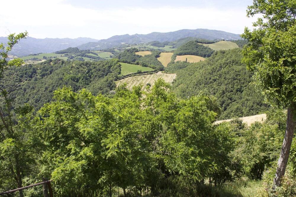 Photo of Others in Casalfiumanese