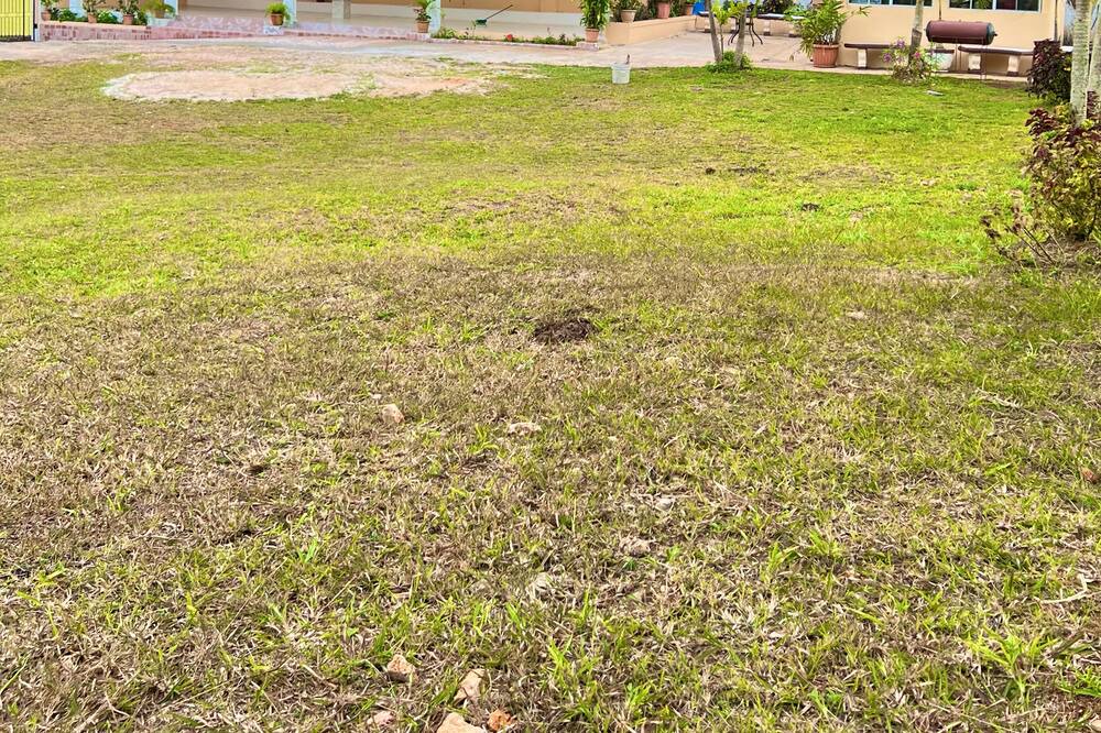 Photo of Outdoor in Porus