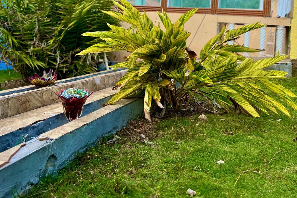 Photo of Outdoor in Porus