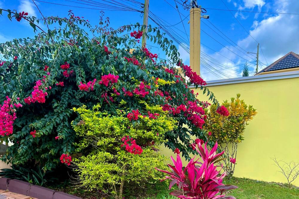 Photo of Outdoor in Porus