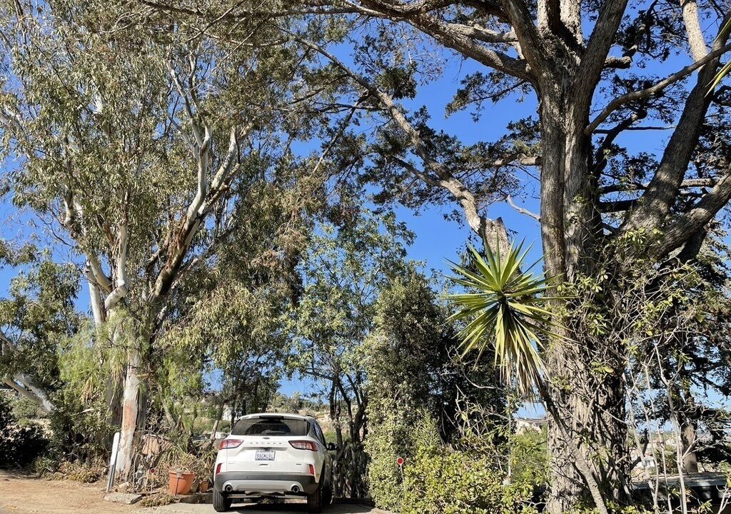 Photo of Outdoor in Camarillo