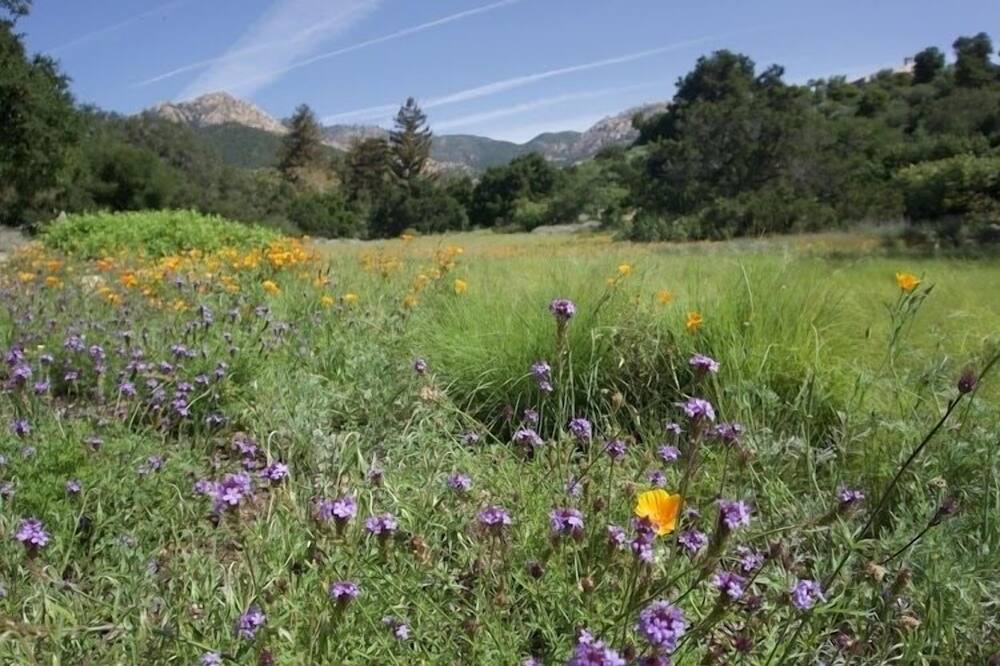 Photo of Outdoor in Mission Canyon