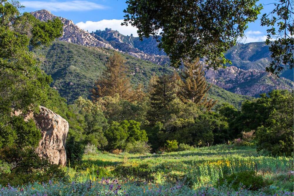 Photo of Others in Mission Canyon