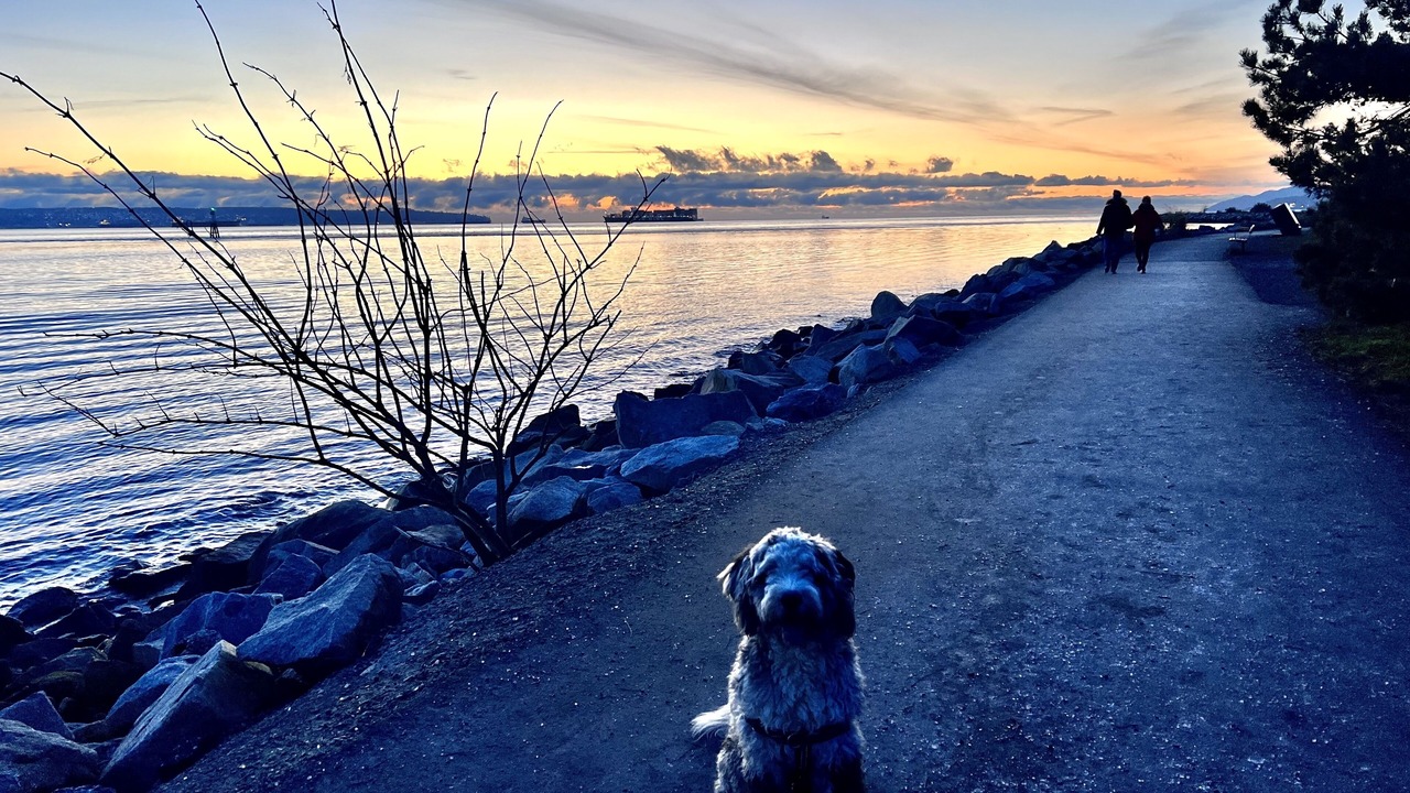 Photo of Outdoor in West Vancouver
