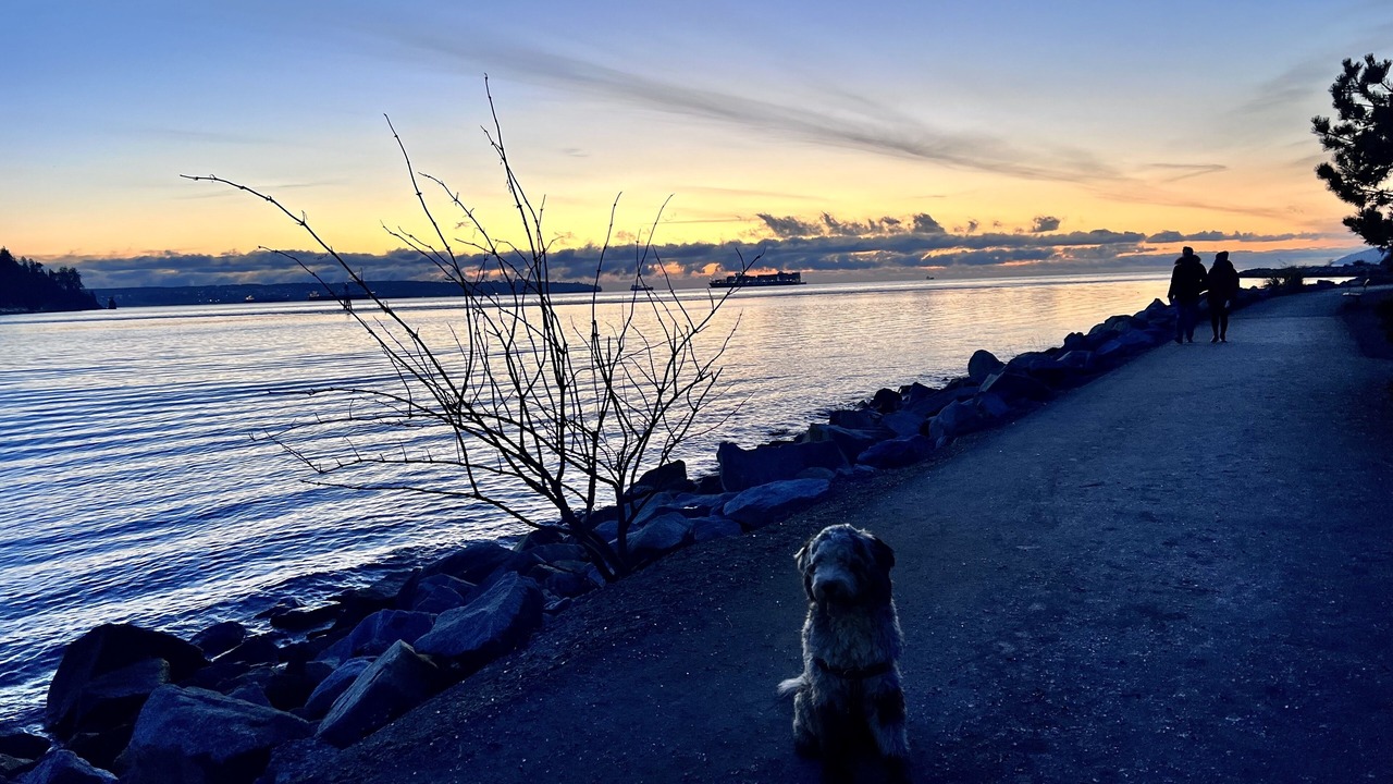 Photo of Others in West Vancouver