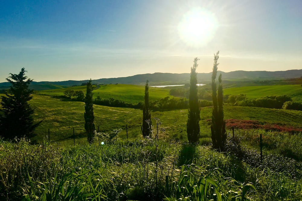 Photo of Outdoor in Santa Luce
