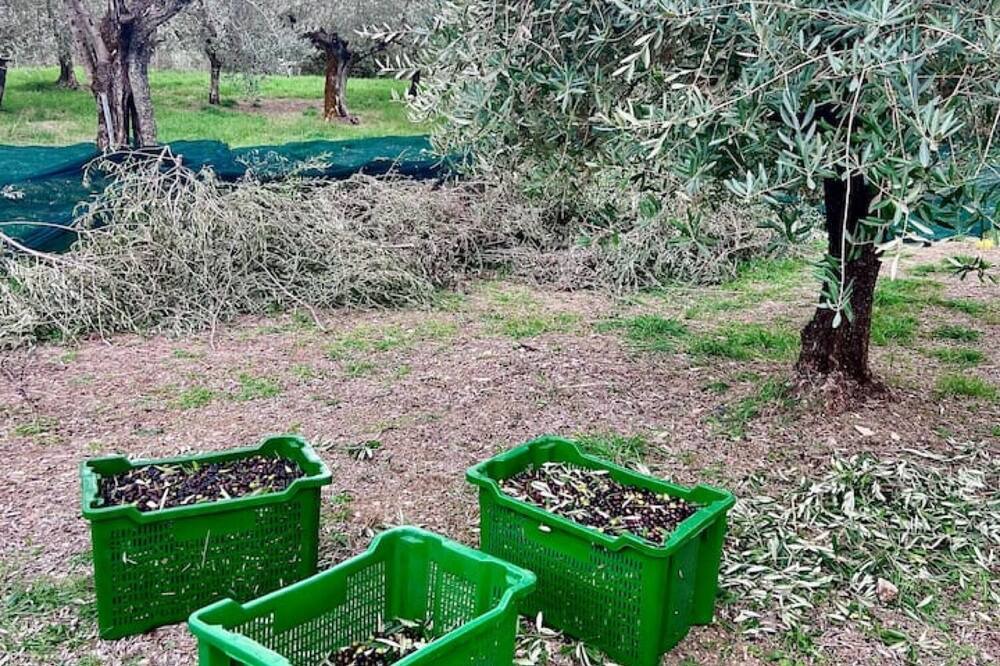 Photo of Outdoor in Calenzano