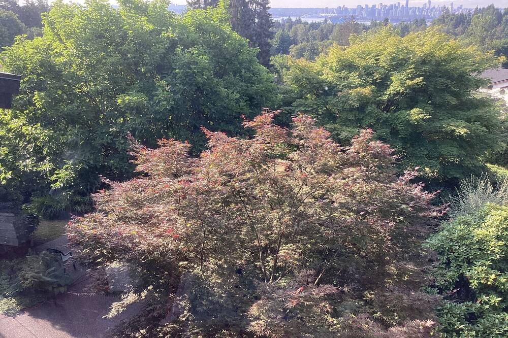 Photo of Outdoor in West Vancouver