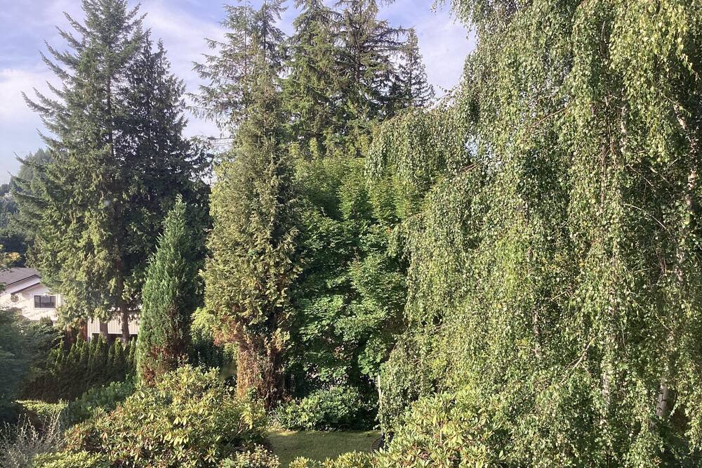 Photo of Outdoor in West Vancouver