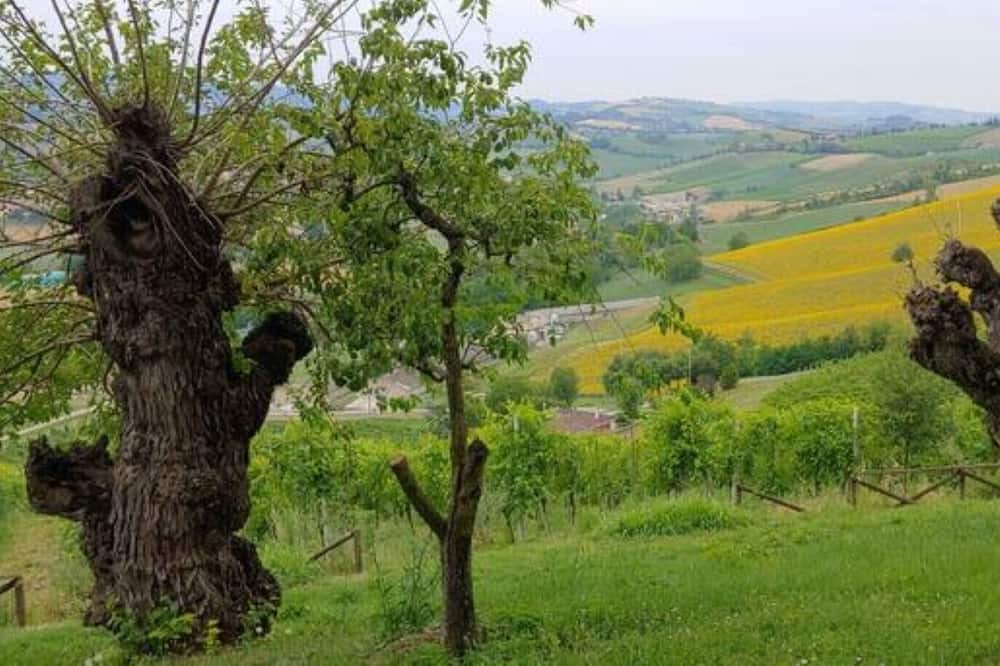 Photo of Outdoor in Monteveglio