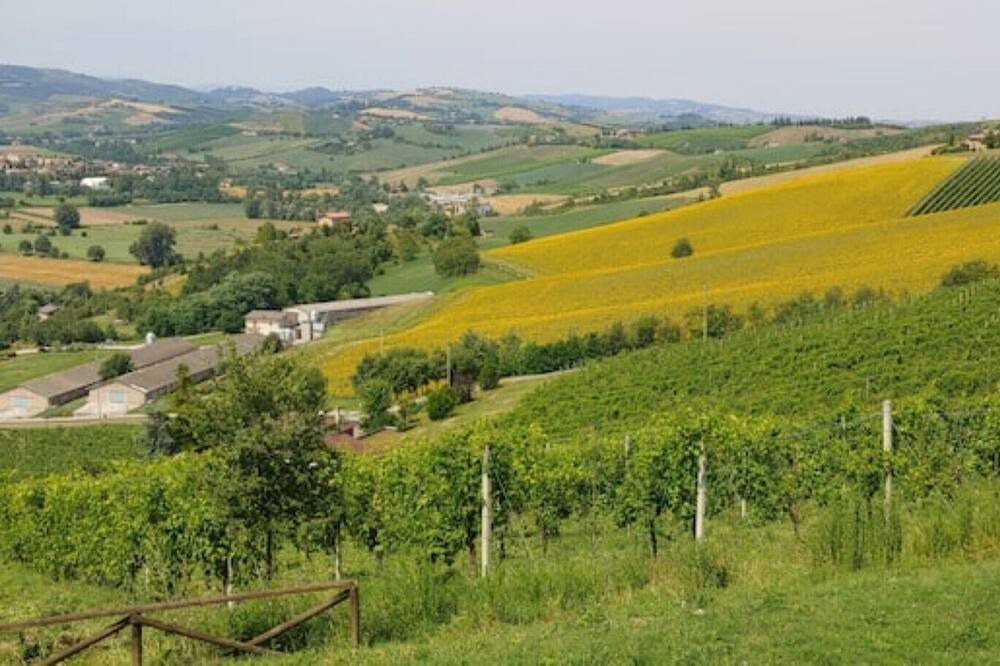 Photo of Outdoor in Monteveglio
