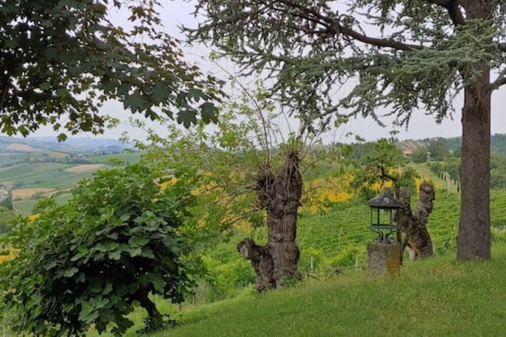 Photo of Others in Monteveglio