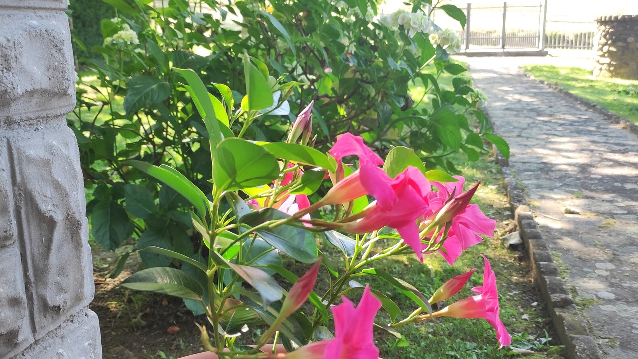 Photo of Outdoor in Burzanella