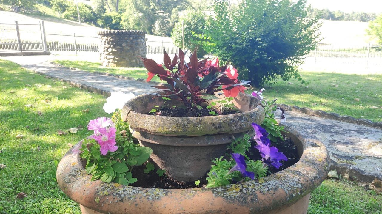 Photo of Outdoor in Burzanella