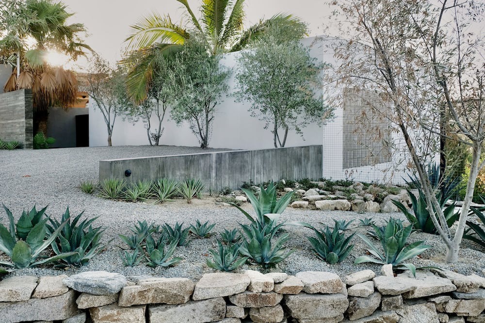 Photo of Outdoor in San Jose del Cabo