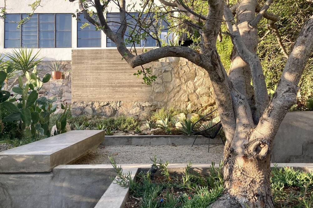 Photo of Outdoor in San Jose del Cabo