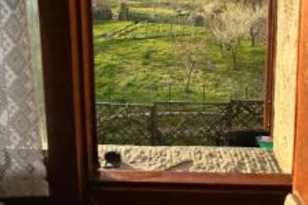 Photo of Others in Chiusi della Verna