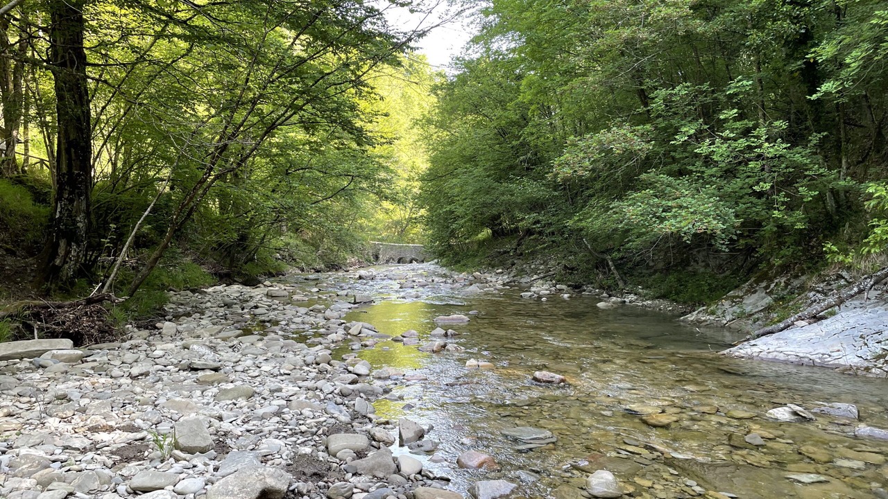 Photo of Outdoor in Bagno di Romagna