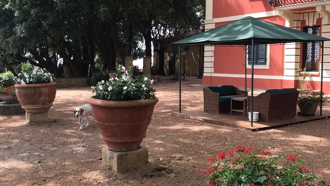 Photo of Outdoor in Casciana Terme Lari
