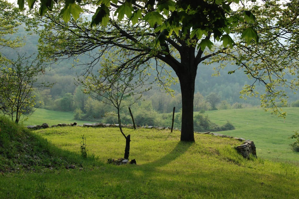 Photo of Others in Pieve Di Trebbio