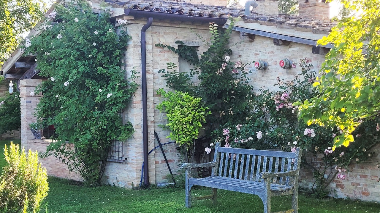 Photo of Outdoor in Urbino
