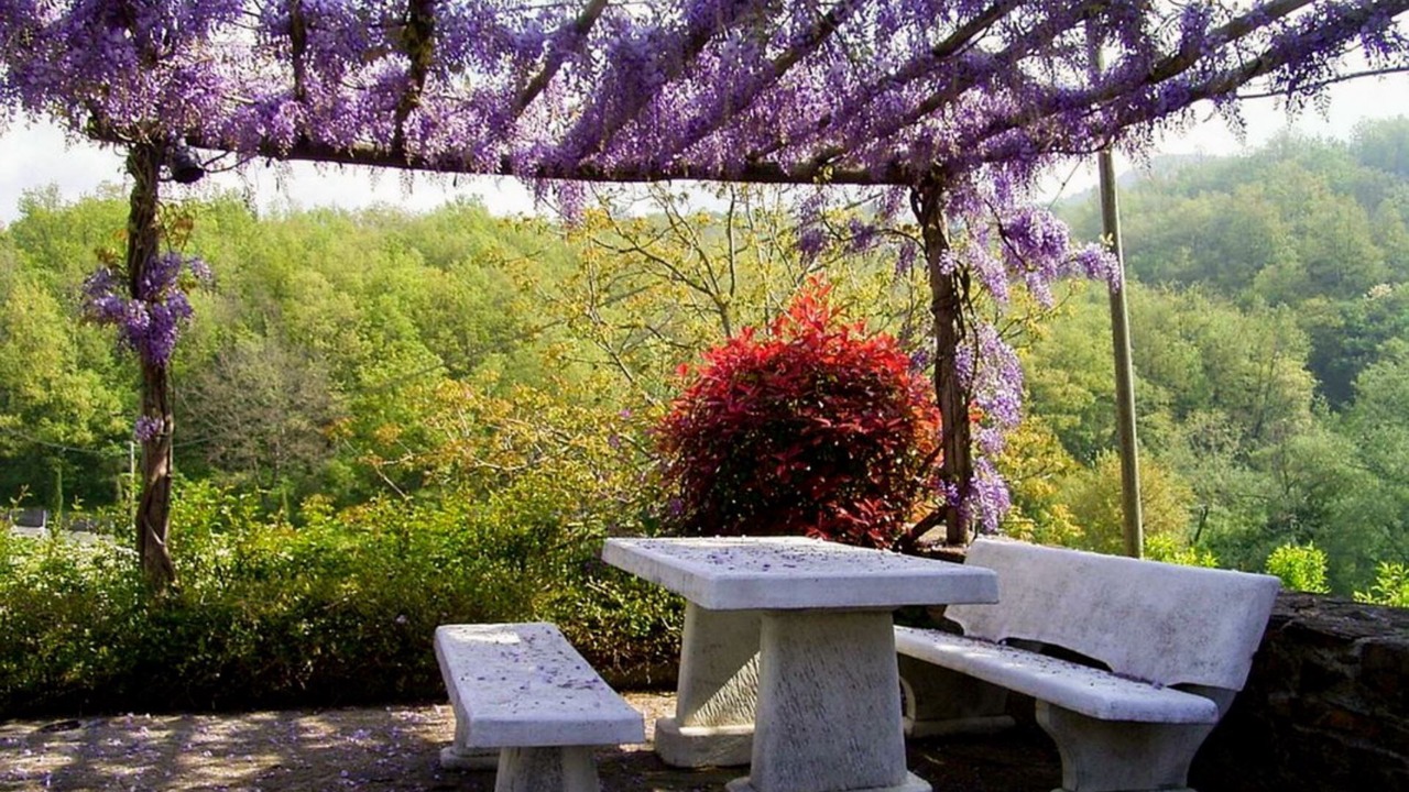 Photo of Outdoor in Scarperia
