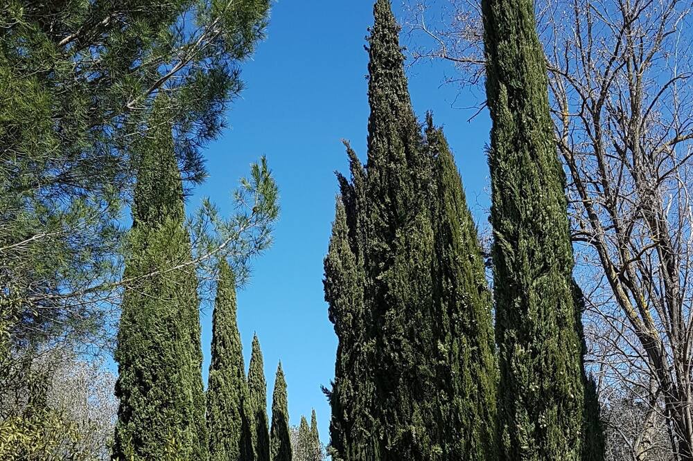 Photo of Others in Palaia